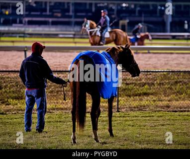 Louisville, Kentucky, USA. 25 Okt, 2018. Ihr Kekse, durch Tschad Sommern geschulten Verstand, Schürfwunden, die von der Spur und Kontrollen, die Konkurrenz in der Churchill Downs. Credit: Csm/Alamy leben Nachrichten Stockfoto