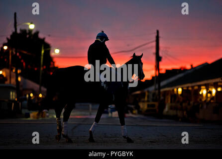 Louisville, Kentucky, USA. 25 Okt, 2018. Szenen aus der Rückseite in die Sonne steigt bei Churchill Downs Breeders' Cup Ansätze. Credit: Csm/Alamy leben Nachrichten Stockfoto