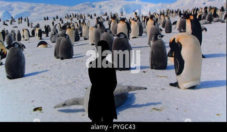 Bremen, Deutschland. 26 Okt, 2018. Ein Mitarbeiter der Das Überseemuseum ist ein Film über kaiserpinguine in der Ausstellung "Antarktis". Die Ausstellung bietet Nahaufnahme Natur. Im Herzen des Multimedia Reise in das ewige Eis sind der Film und Foto Schüsse der Oscar-prämierte der Franzose Luc Jacquet. "Antarktis" läuft vom 27. Oktober 2018 bis 28. April 2019. Quelle: Carmen Jaspersen/dpa/Alamy leben Nachrichten Stockfoto