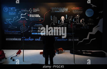 Bremen, Deutschland. 26 Okt, 2018. Ein Mitarbeiter der Überseemuseum liest eine Infotafel in der Ausstellung "Antarktis". Die Ausstellung bietet Nahaufnahme Natur. Im Herzen des Multimedia Reise in das ewige Eis sind der Film und Foto Schüsse der Oscar-prämierte der Franzose Luc Jacquet. "Antarktis" läuft vom 27. Oktober 2018 bis 28. April 2019. Quelle: Carmen Jaspersen/dpa/Alamy leben Nachrichten Stockfoto