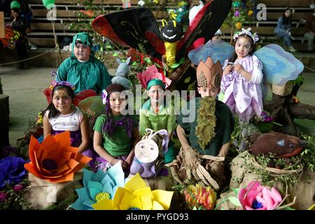 (181028) - Los Rios, Oktober 28, 2018 (Xinhua) - Kinder gekleidet, wie Elfen in der 8 Huilo Huilo Wald Festival in Neltume Dorf Panguipulli, Los Rios Region, Chile, am Okt. 27, 2018 teilnehmen. Die jährlichen Huilo Huilo Wald Festival war in der Huilo Huilo Biological Reserve ab 2011 statt auf den kommenden Frühling und das Bewusstsein für den Schutz der Wälder zu feiern. (Xinhua / Wang Pei) (zhf) Stockfoto