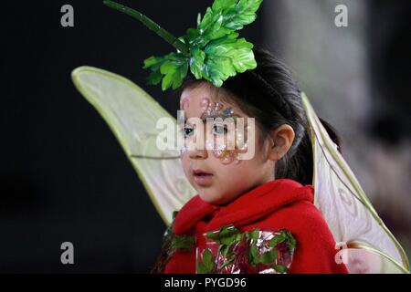 (181028) - Los Rios, Oktober 28, 2018 (Xinhua) - ein Kind verkleidet als elf im 8 Huilo Huilo Wald Festival in Neltume Dorf Panguipulli, Los Rios Region, Chile, am Okt. 27, 2018 teilnimmt. Die jährlichen Huilo Huilo Wald Festival war in der Huilo Huilo Biological Reserve ab 2011 statt auf den kommenden Frühling und das Bewusstsein für den Schutz der Wälder zu feiern. (Xinhua / Wang Pei) (zhf) Stockfoto