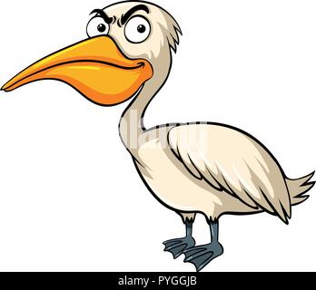 Wild pelican auf weißem Hintergrund Abbildung Stock Vektor