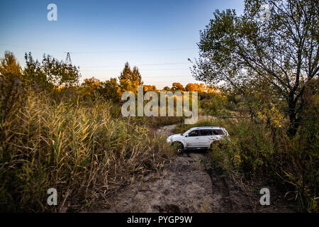 Mitsubishi Pajero Sport und Bäume im Herbst an einem sonnigen Tag. Chabarowsk, Russland. Oktober 12, 2018 Stockfoto