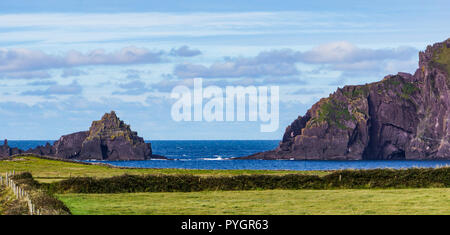 Felsige Klippen entlang der irischen Küste auf der Halbinsel Dingle, Kerry, Irland Stockfoto