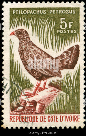 Poststempel Stempel von der Elfenbeinküste, die in der Vogelschutz Serie 1966 ausgestellt Stockfoto