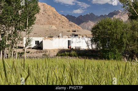 Junge Kind steht im Eingang des Weißen Hauses Pamiri in Langar mit grünen Weizenfeld, Langar, Pamir Highway, Tadschikistan Stockfoto