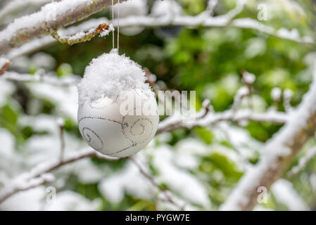 Weihnachtskugel mit Schnee bedeckt, hängen von einem Zweig eines Baumes in einem Garten Stockfoto