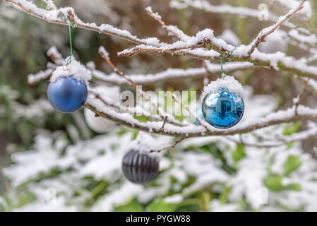 Christbaumkugeln mit Schnee bedeckt, hängen von einem Zweig eines Baumes in einem Garten Stockfoto