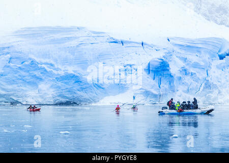 Über das Motorboot mit Touristen und Kajaks in der Bucht mit riesigen blauen Gletscher Wand im Hintergrund Schneefall, in der Nähe von Almirante Brown, Antarktis penins Stockfoto