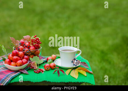Kräuter Tee mit Zitrone und Paradise Äpfel. Ansicht von oben auf eine weiße Holztisch. Grüne und gelbe Blätter, rote Äpfel. Tee im Garten. Stockfoto
