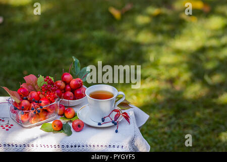 Kräuter Tee mit Zitrone und Paradise Äpfel. Ansicht von oben auf eine weiße Holztisch. Grüne und gelbe Blätter, rote Äpfel. Tee im Garten. Stockfoto