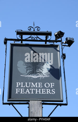 Plume of Feathers Inn, Little Wymondley, Hertfordshire, wahrscheinlich wurde ein Public House im neunzehnten Jahrhundert. Stockfoto