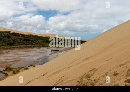 Giant Sand Dünen bei Te Paki auf dem 90 Mile Beach in Northland Neuseeland Stockfoto