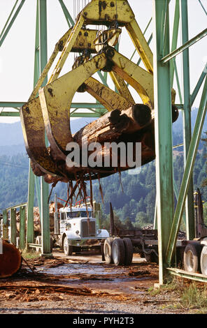 Sägewerk mechanische Kralle Loader, Scotia, CA Stockfoto