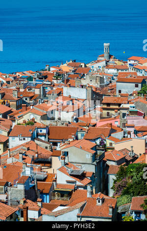 Piran. Slowenisch Istrien Region. Slowenien, Europa. Stockfoto