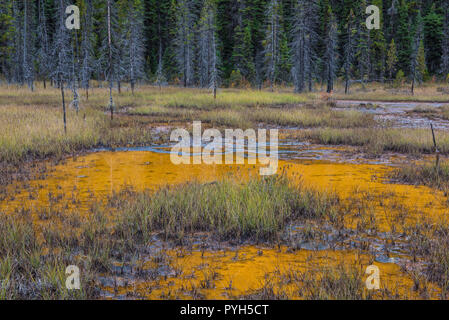 Farbtöpfe, Kootenay NP, British Columbia, Kanada, von Bruce Montagne/Dembinsky Foto Assoc Stockfoto