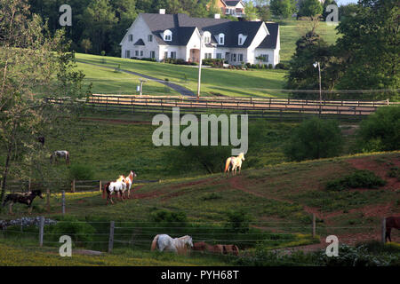 Pferdefarm und große Häuser im ländlichen Virginia, USA Stockfoto