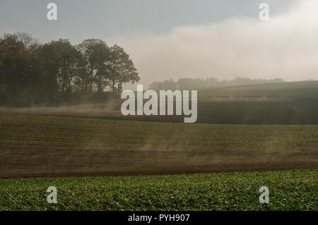 Morgennebel über herbstlichen Feldern bei Duttenbrunn (Teil von Zellingen) im Landkreis Main-Spessart, Unterfranken, Bayern, Deutschland Stockfoto