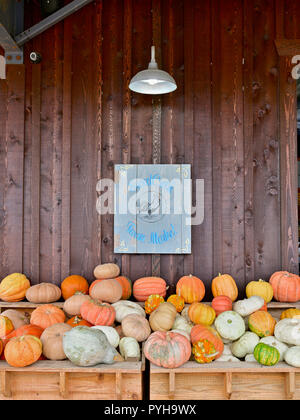 Kürbisse Kürbisse und auf der Anzeige für den Verkauf an einen lokalen Bauernhof Markt, Süße Creek, für die Halloween und Thanksgiving Dekoration oder Dekorieren. Stockfoto