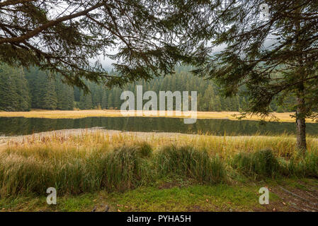 Smoljan Seen in Bulgarien im Herbst. Stockfoto