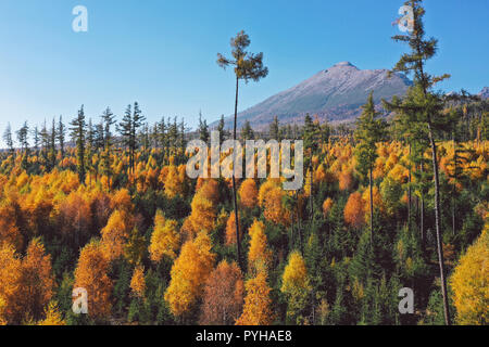Berge an einem sonnigen Tag mit Wald in den Farben des Herbstes Stockfoto
