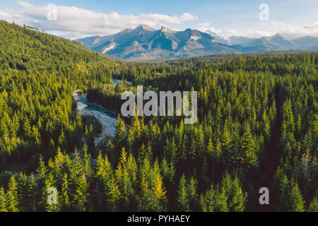 Tolle Aussicht auf die Berge der Tatra, die aus einem Wald in Polen Stockfoto