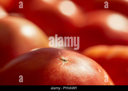 Beefsteak Tomaten auf Anzeige an einem strassenrand Farm stand in Amish Country, Lancaster County, Pennsylvania, USA Stockfoto