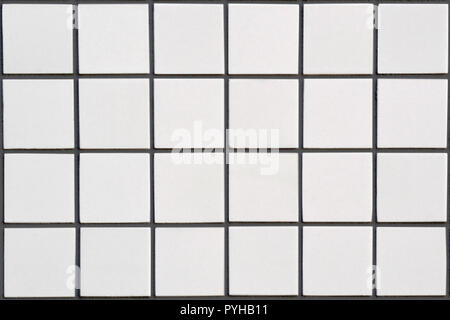 Weiße keramische Fliese mit 24 Plätzen in rechteckiger Form mit schwarzer Füllung Stockfoto