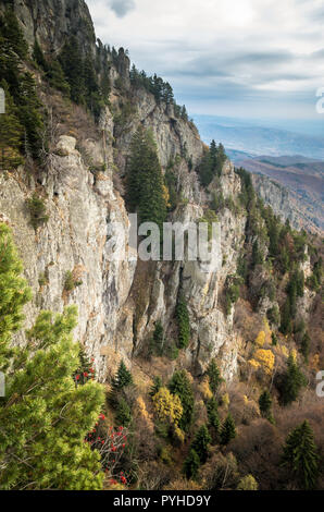 Herbst in Cozia, Karpaten, Rumänien. Bunte Herbst verlassen. Lebendige Herbstfarben im Wald. Landschaft der Natur mit Sonnenlicht durch Zweige o Stockfoto