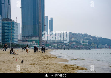 Haeundae Beach, einem Sandstrand beliebt bei Touristen bei Busan in Südkorea Stockfoto