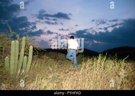 Eduardo "Lalo" Angeles, Inhaber der Lalocura Mezcal, Spaziergänge durch ein Feld außerhalb des Dorfes Santa Catarina Minas, Oaxaca, Mexiko, Montag, 5. Oktober 2015. Stockfoto