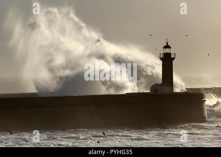 Hintergrundbeleuchtung dramatische Big Wave über Leuchtturm Stockfoto