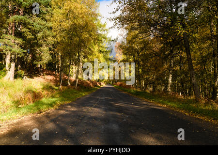 Die B 9102 in Speyside, in Schottland, in allen Ihren herbstlichen Herrlichkeit. 20. Oktober 2018 Stockfoto