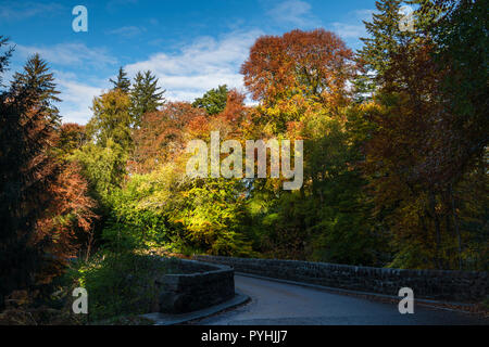 Die Brücke von Logie in feinen Farben des Herbstes über den Fluss Divie in Moray, Schottland. 20. Oktober 2018 Stockfoto