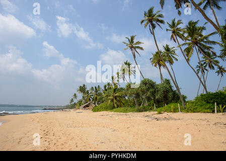 Palmen und Strand Landschaften des Indischen Ozeans in Tangalle, Sri Lanka Stockfoto