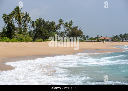 Palmen und Strand Landschaften des Indischen Ozeans in Tangalle, Sri Lanka Stockfoto