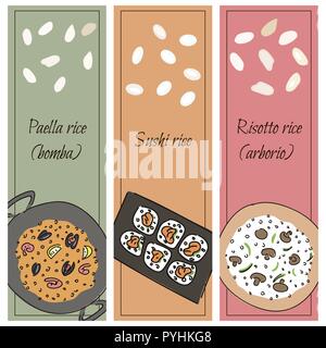 Reis für verschiedene Gerichte. Paella, Risotto, sushi Vektor-illustration eps 10. Stock Vektor