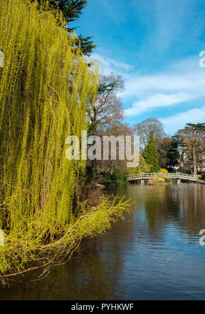 Priory Park, Great Malvern, Worcestershire, England, Europa Stockfoto