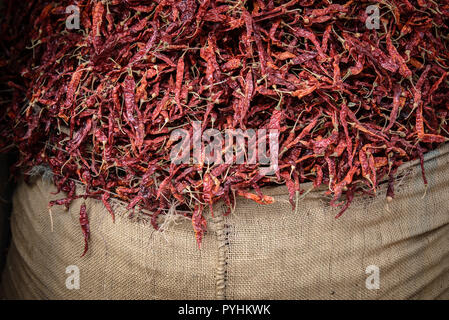 Sack von red hot chili peppers von BIkaner, Rajasthan, Indien Stockfoto