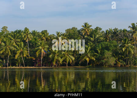 Kerala backwaters bei Munroe Insel Stockfoto