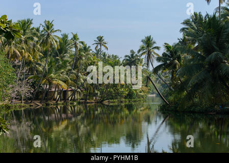 Kerala backwaters bei Munroe Insel Stockfoto