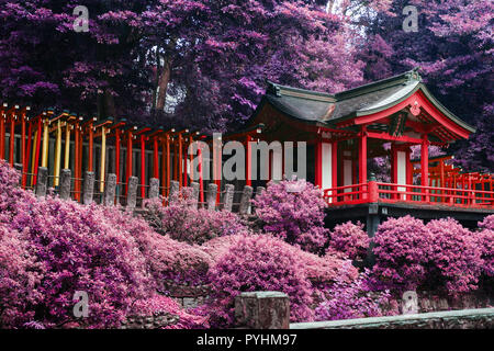 Teil eines Tempels in Tokio, Japan. Stockfoto