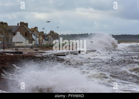 Portgordon, Moray, Schottland, Vereinigtes Königreich Stockfoto