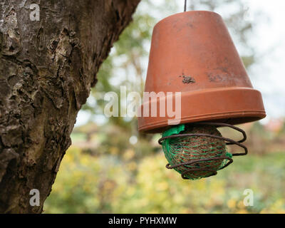 Home weit Kugel Vogelfutter Inhaber eine alte Terrakotta Topf und einige Kabel. Stockfoto