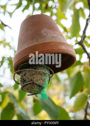 Home weit Kugel Vogelfutter Inhaber eine alte Terrakotta Topf und einige Kabel. Stockfoto