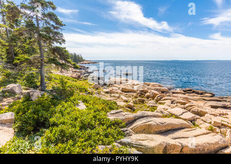 Schoodic Peninsula am Atlantischen Ozean in Acadia National Park an der Küste von Maine in den Vereinigten Staaten Stockfoto