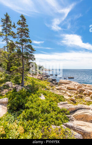 Schoodic Peninsula am Atlantischen Ozean in Acadia National Park an der Küste von Maine in den Vereinigten Staaten Stockfoto