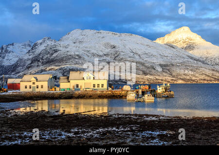 Herbst Landschaften auf der Insel Kvaløya in Tromsø Gemeinde in Troms County, Norwegen. Stockfoto