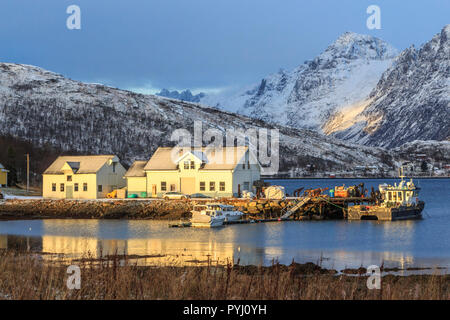 Herbst Landschaften auf der Insel Kvaløya in Tromsø Gemeinde in Troms County, Norwegen. Stockfoto